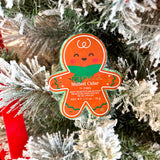 Spongellé - Gingerbread - 4 Scents-120 Apothecary-Spongellé-July & June Women's Fashion Boutique Located in San Antonio, Texas